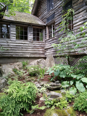 Jan Brett Posts « Jan Brett’s Blog